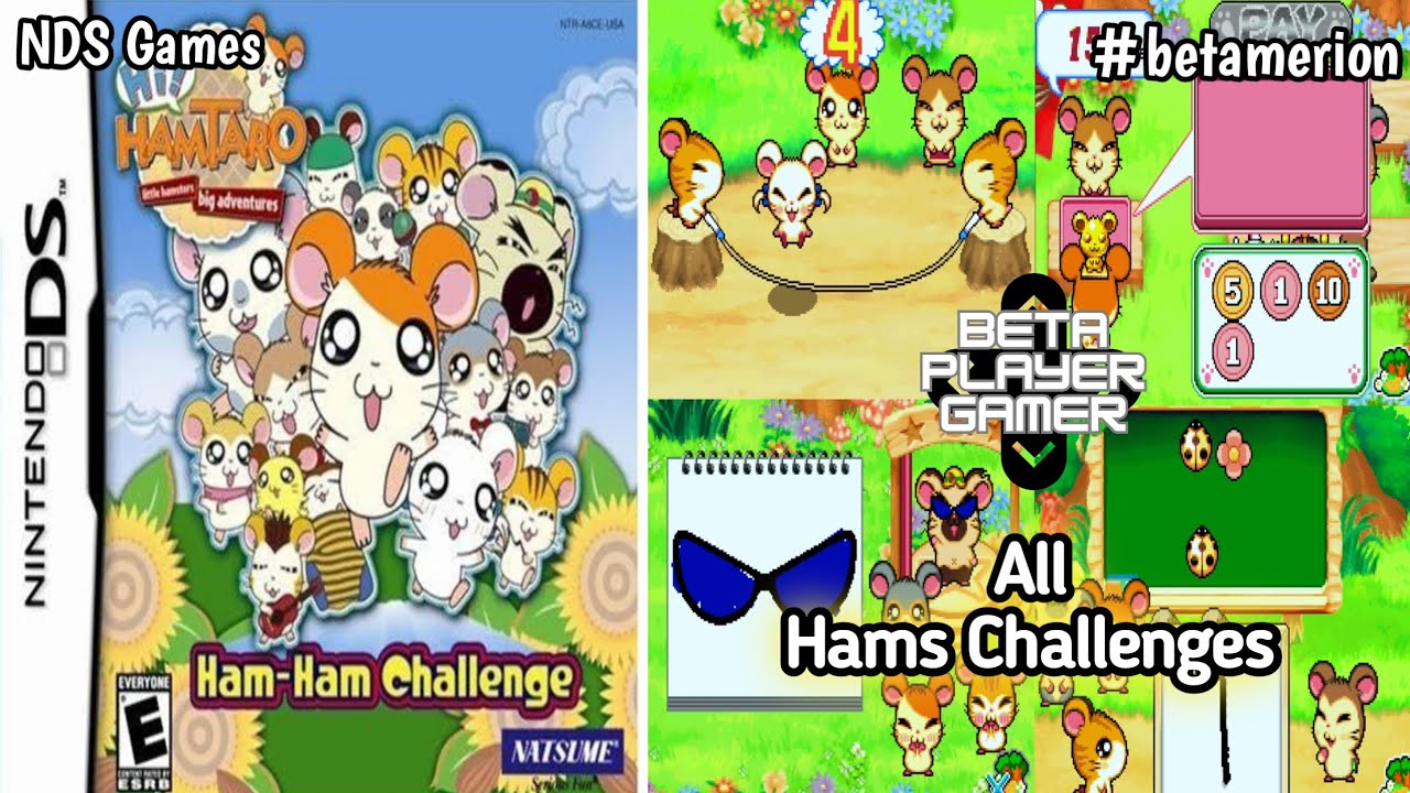Hi ! Hamtaro : Ham Ham Challenges | Semua Tantangan | NDS Games | #betamarion