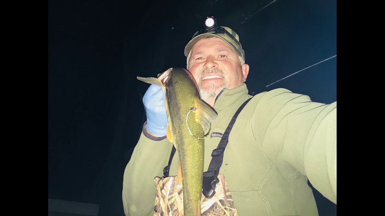 PIKEMINNOW Sport Reward Fishing & Columbia River 2018