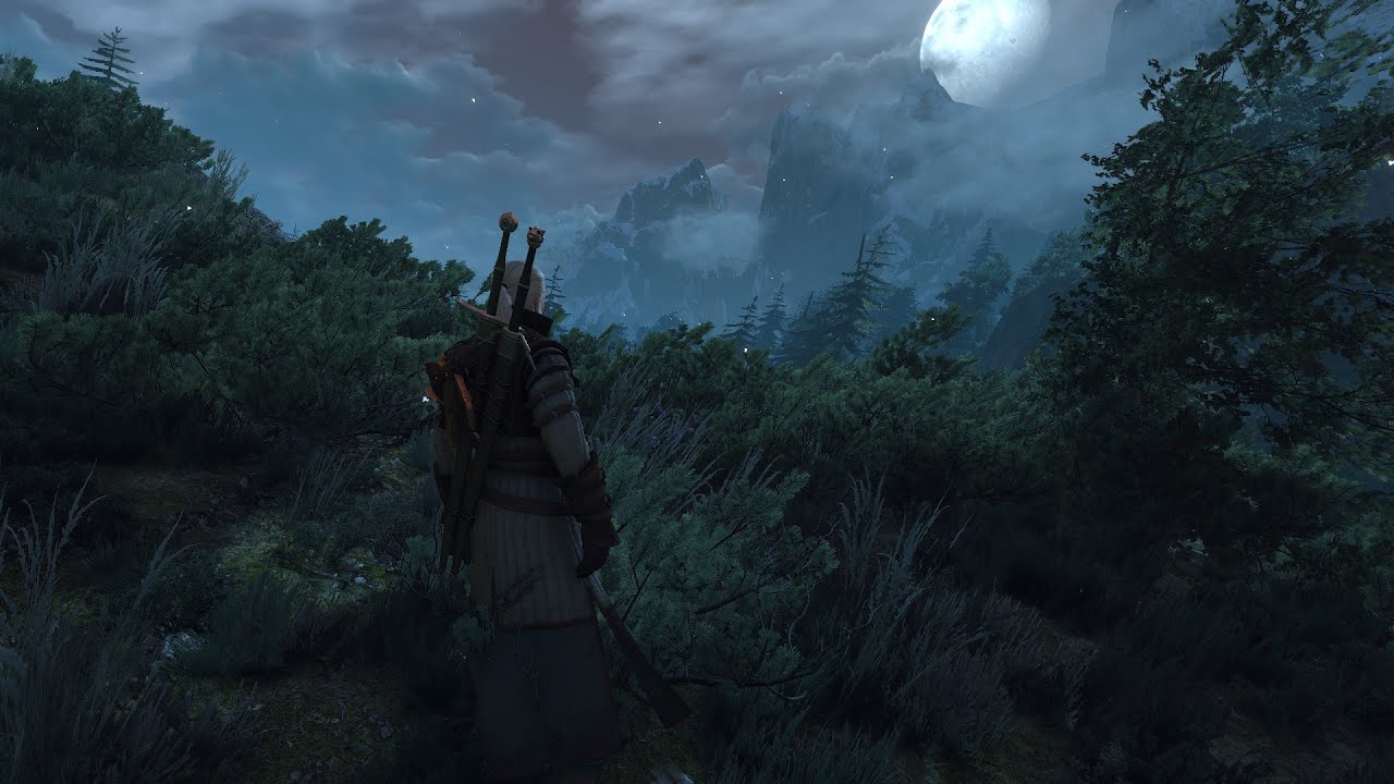 Aen Seidhe (1 Hour) - Witcher 3