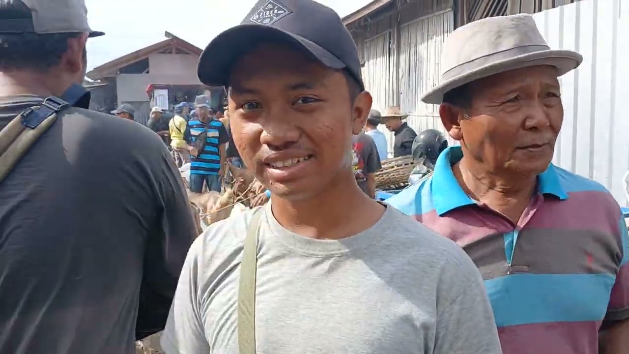Update pasar kambing bendilwung sumbergempol tulung agung (08 01 2026)harga stabil#