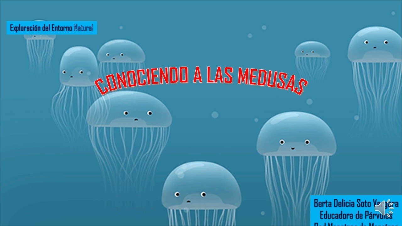 LAS MEDUSAS para niños/as.