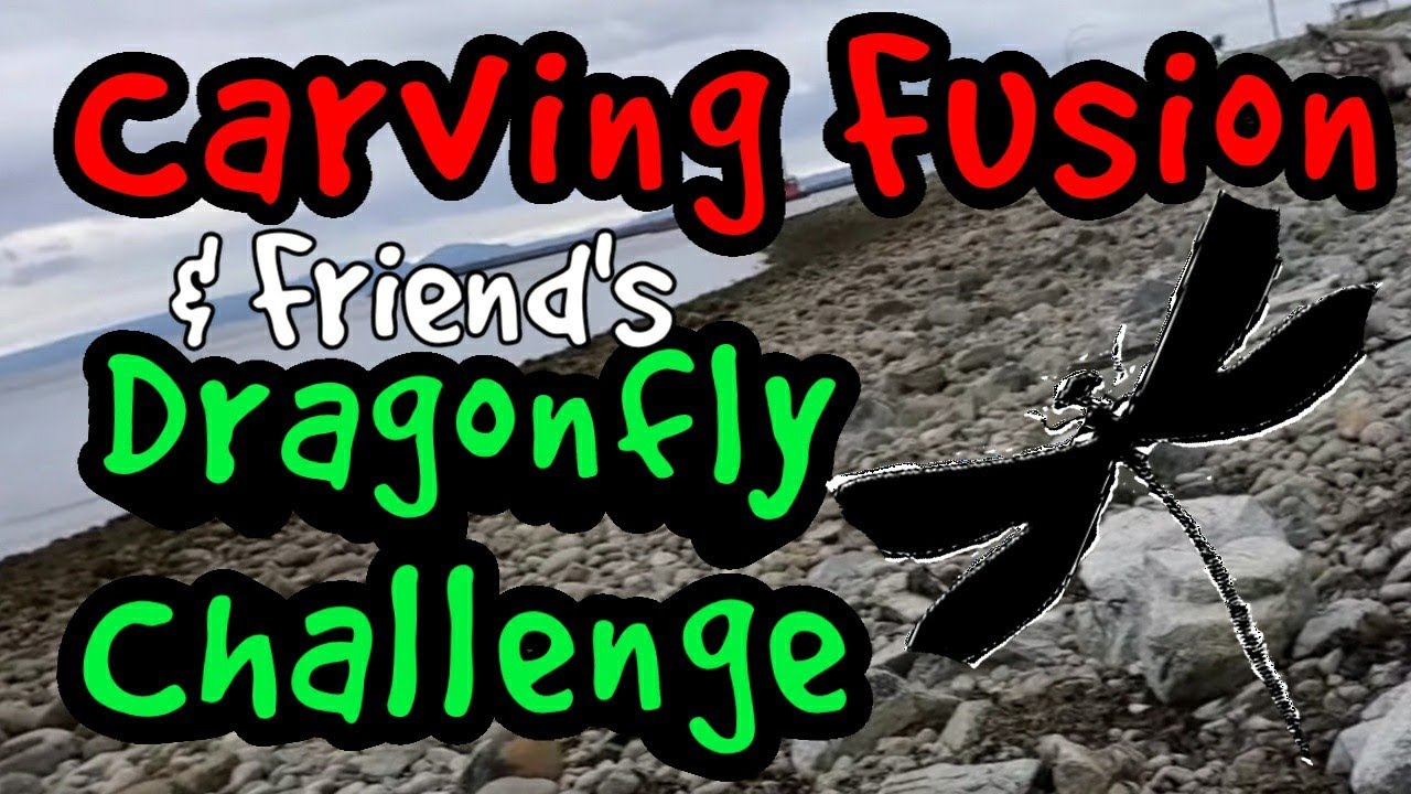 DRAGONFLY CHALLENGE! RULES & Beach Combing