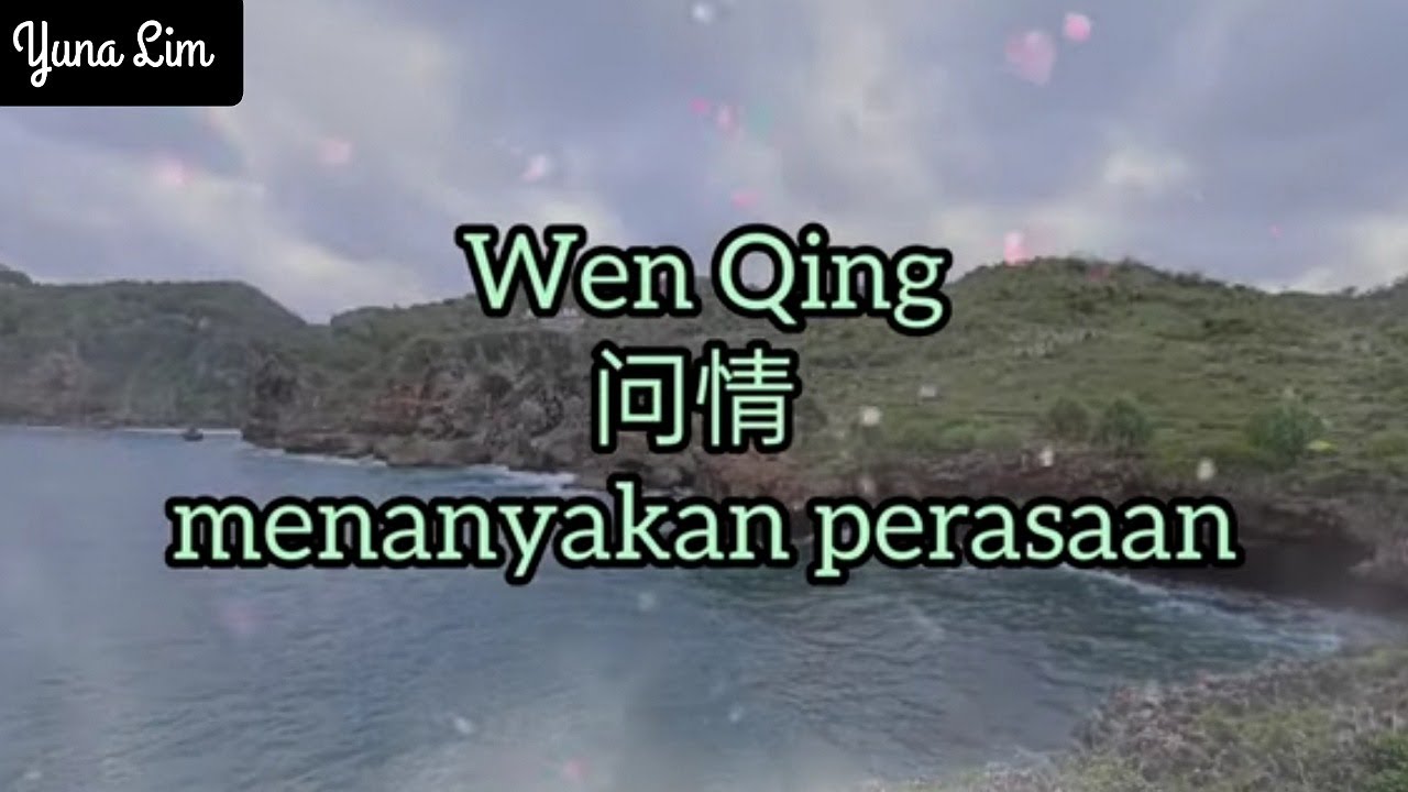 Wen Qing 问情 (menanyakan perasaan) A You You 阿悠悠 Lyrics