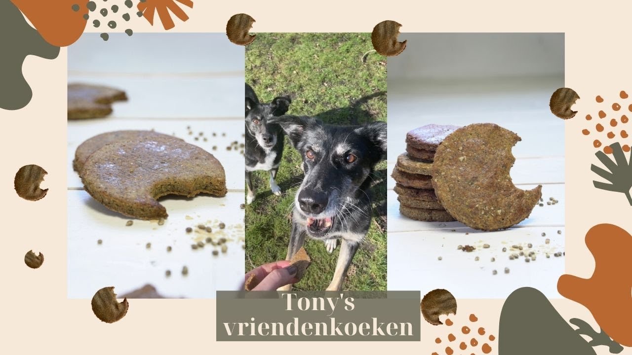 Het verhaal achter Tony's Hondenkoeken (Plantaardig en Tarwevrij)