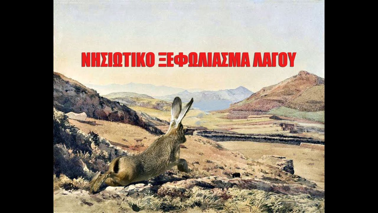 ΝΗΣΙΩΤΙΚΟ ΞΕΦΩΛΙΑΣΜΑ ΛΑΓΟΥ