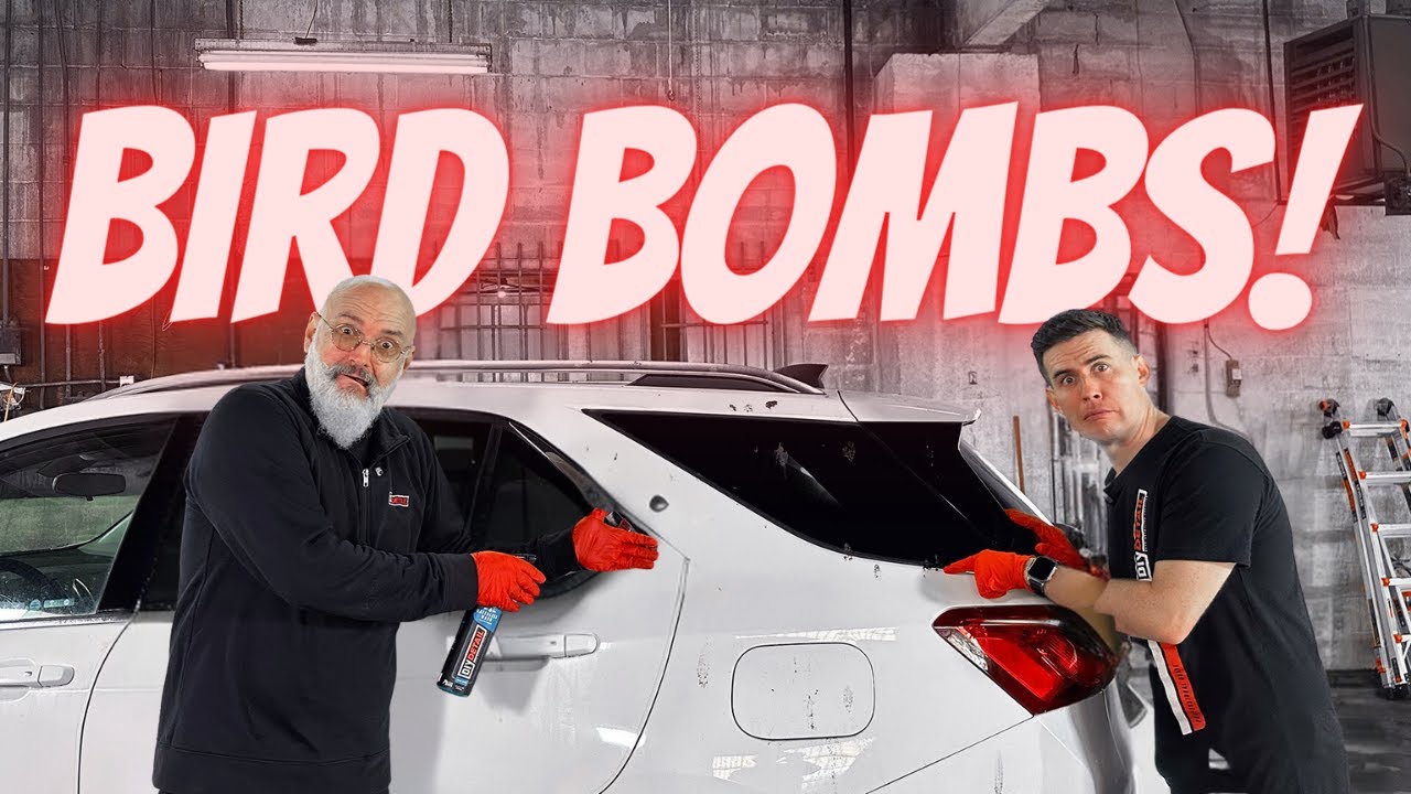 How to SAFELY remove bird bombs from your paint!