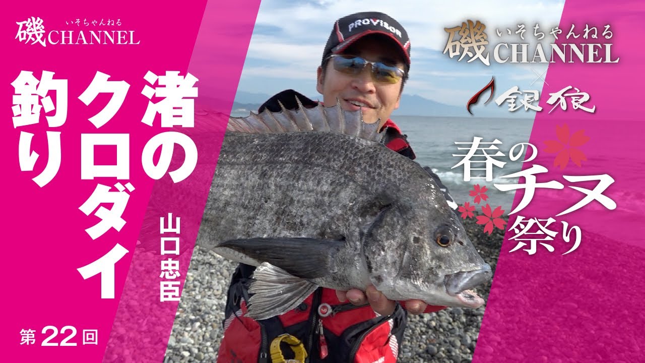 山口忠臣『渚のクロダイ釣り』｜第22回　磯ちゃんねる