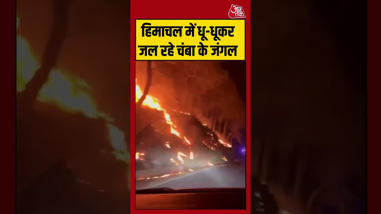 Himachal में धू-धूकर जल रहे चंबा के जंगल | #chamba #himachal #fire #viralvideo