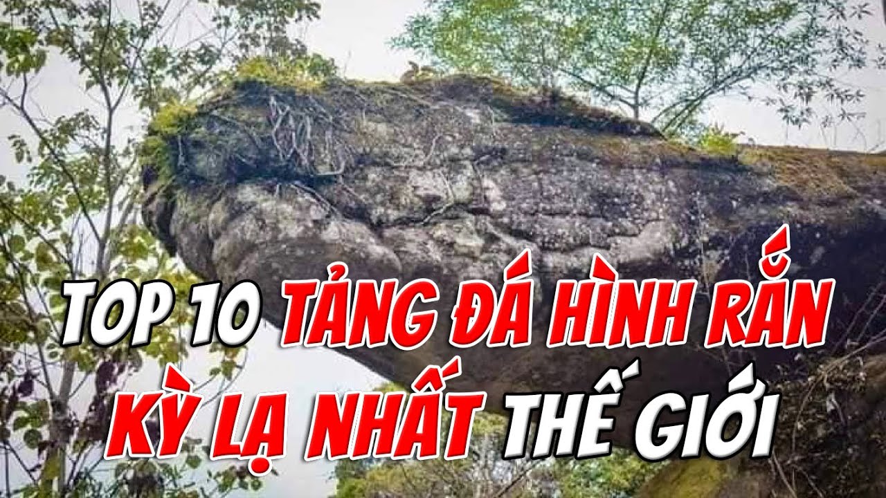 Top 10 Tảng Đá Hình Rắn Kỳ Lạ Nhất Thế Giới – Bạn Sẽ Không Tin Mắt Mình | TOP 1 THẾ GIỚI