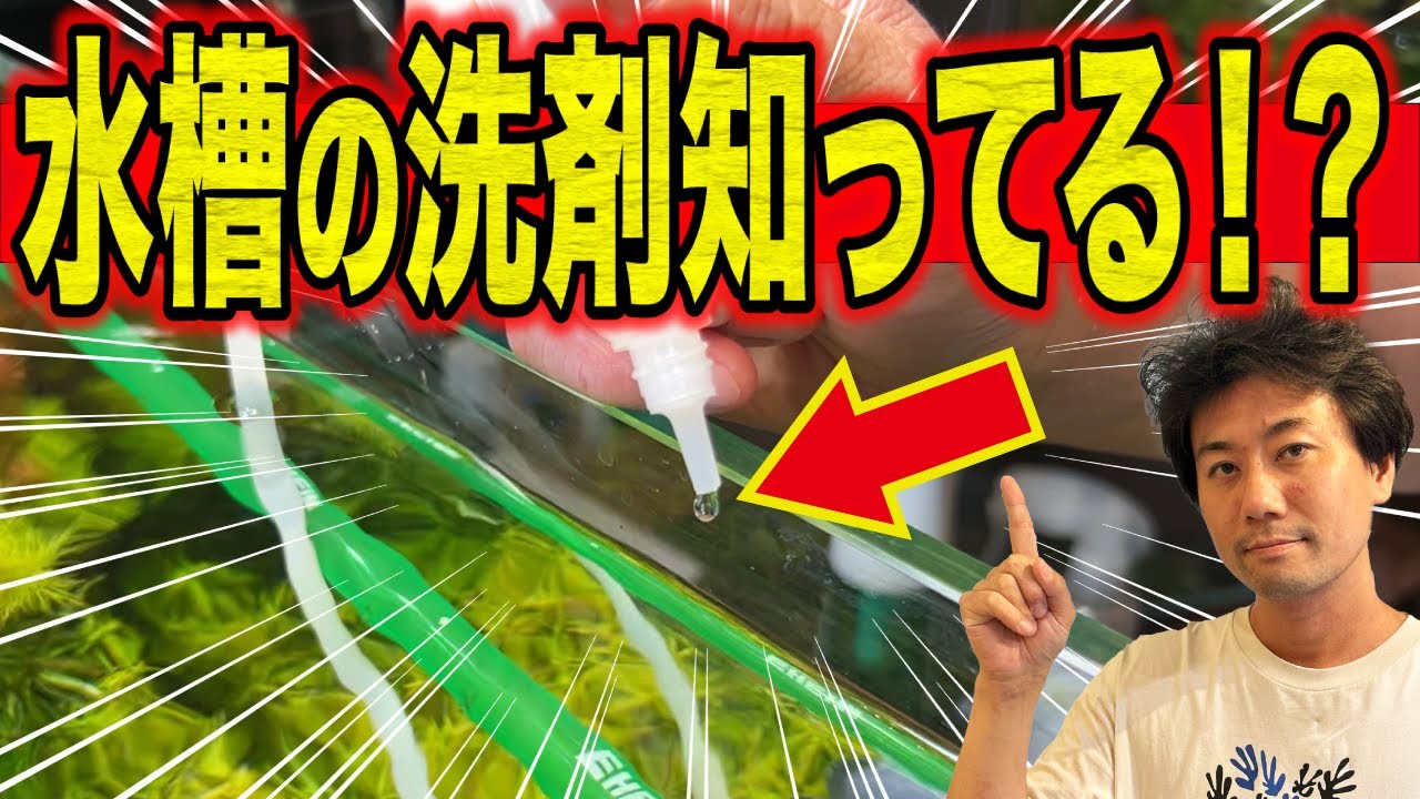 【衝撃】水槽の白い水垢汚れやコケを”秒で落とす”最強アイテム！