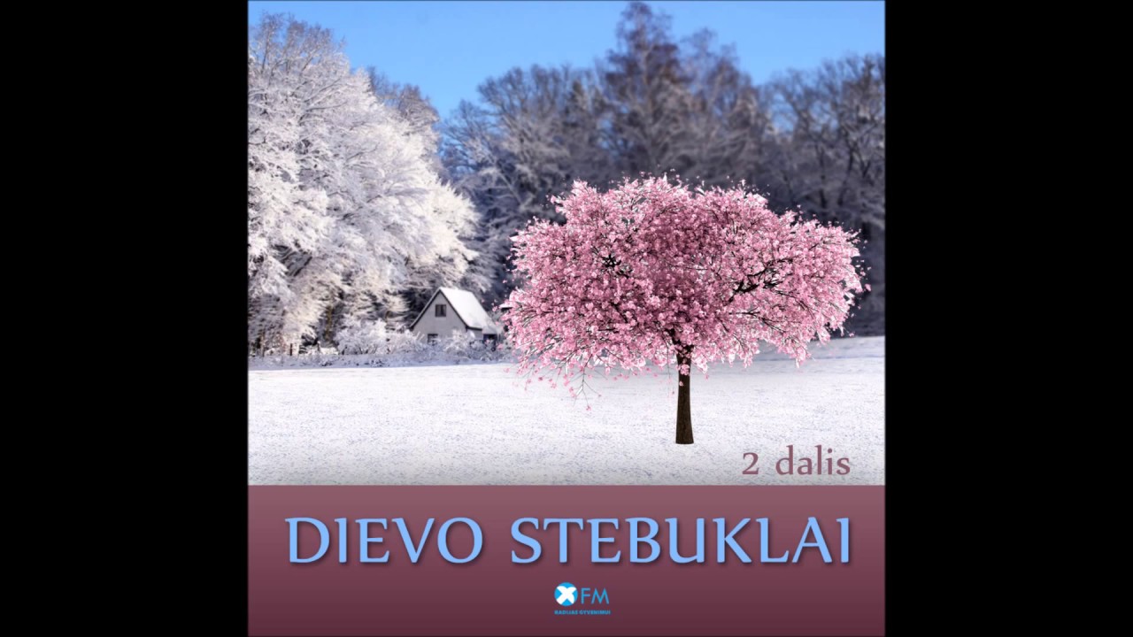 Iš mirties į gyvenimą: Dievo stebuklai. 2 dalis