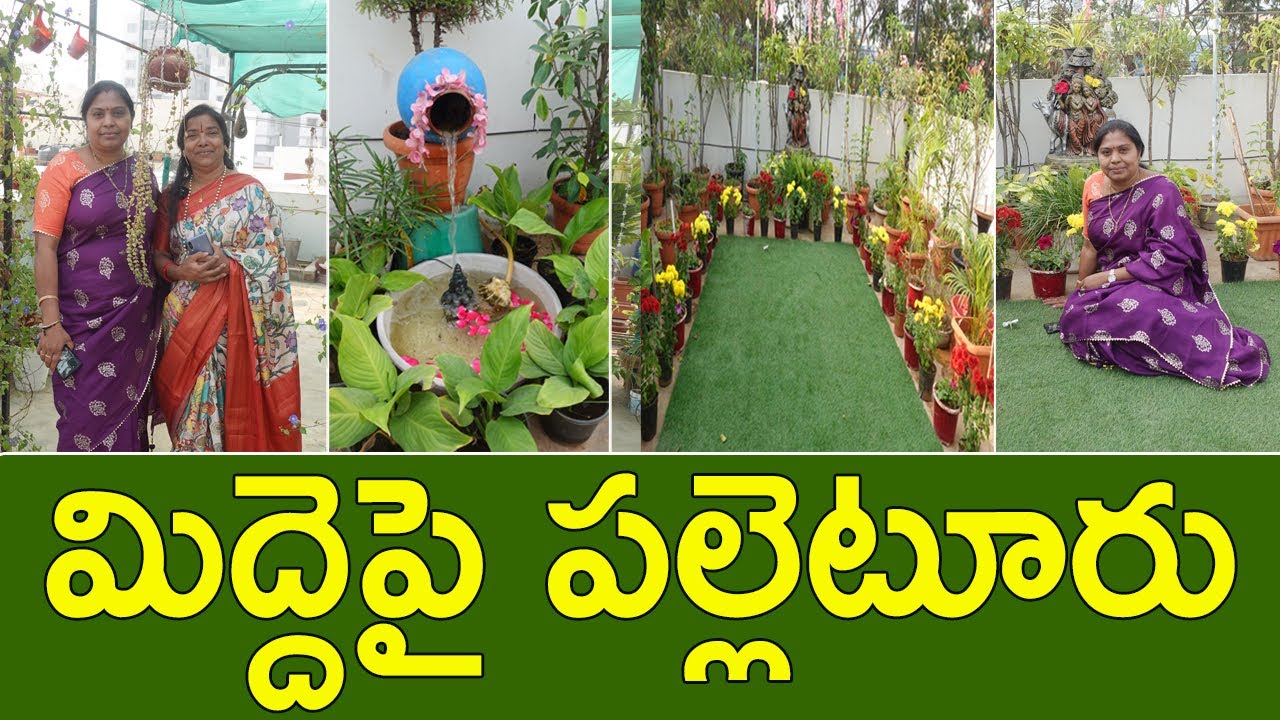 ఈ మిద్దె  తోటలో కొత్తగా బోలెడన్ని ఐడియాలు | Garden Tour | Terrace Garden | Creations By Shobha | TTH