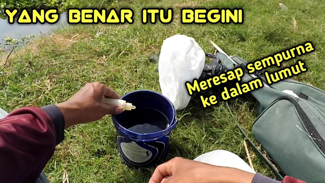 LANGSUNG TEST||cara mencampur essen dengan lumut yang baik dan benar saat mancing nila