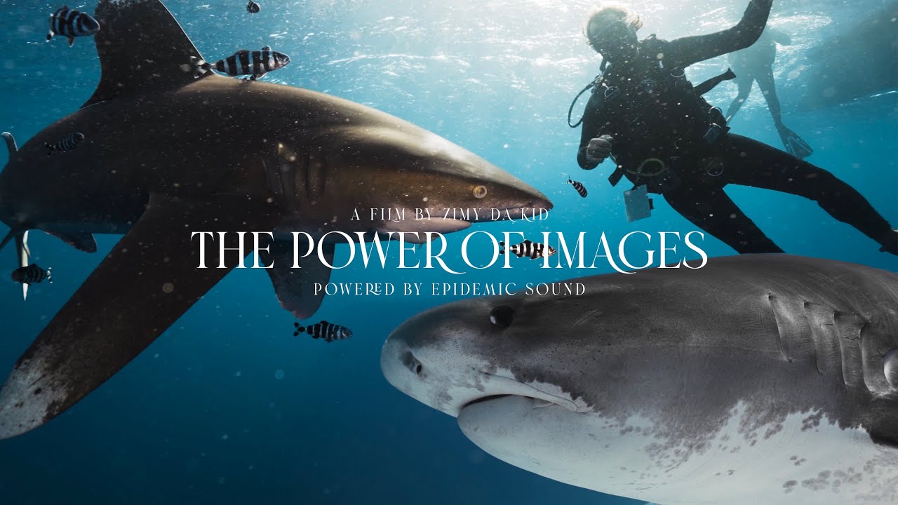 The Power of Images // Zimy Da Kid X Epidemic Sound