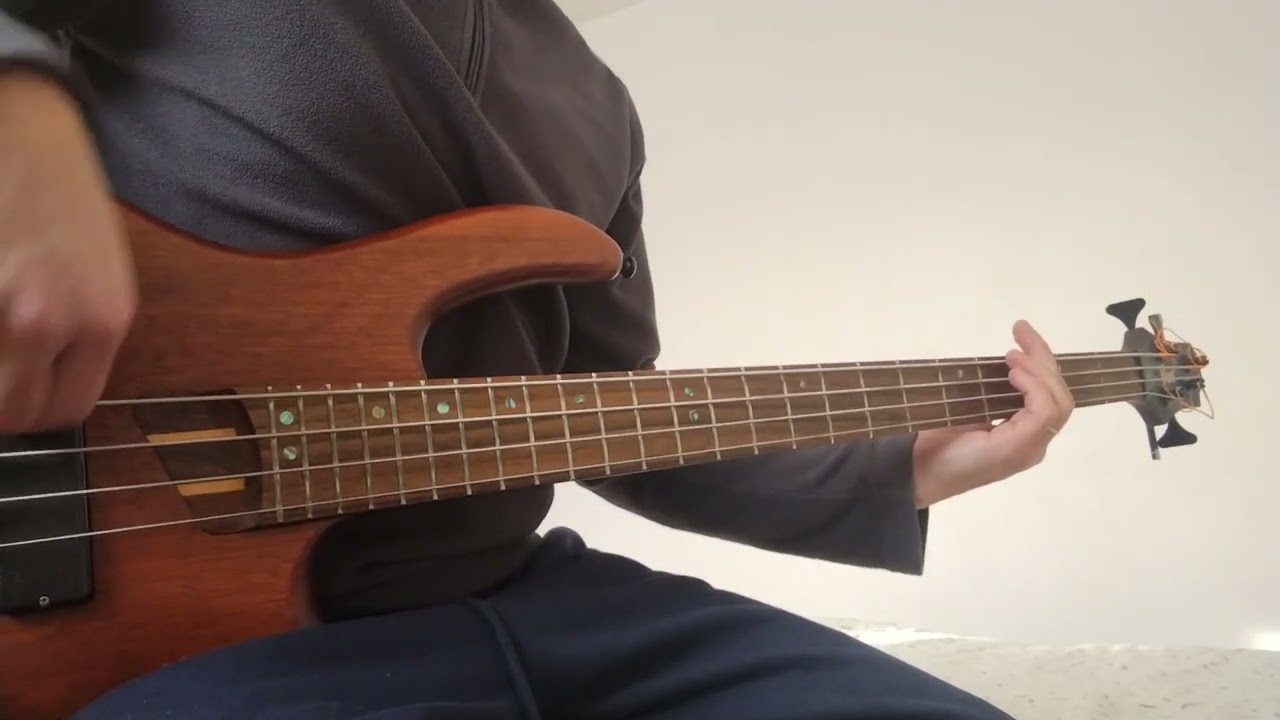 James Blunt - Love, love love (bass cover)
