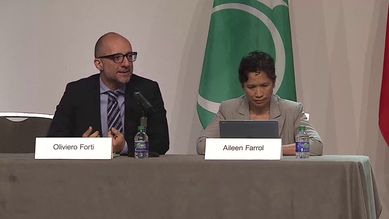 Plenary 4: Non-state Actors and the Migration Industry