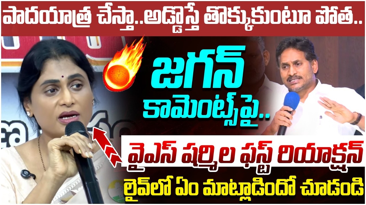 YS Sharmila First Reaction on YS Jagan Comments | YS Jagan 2.0 Padayatra | AP Politics | Yuvagalam