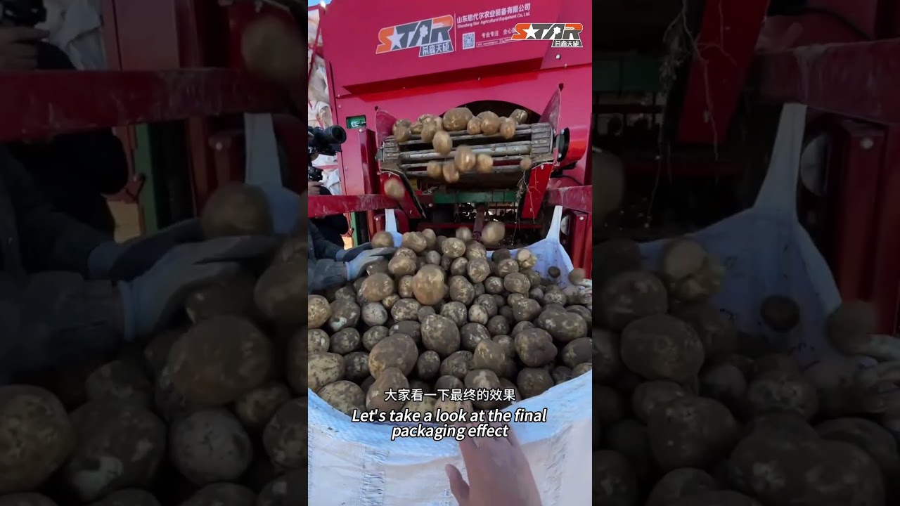 Chinese potato harvesters for export. Ask me for parameters.
