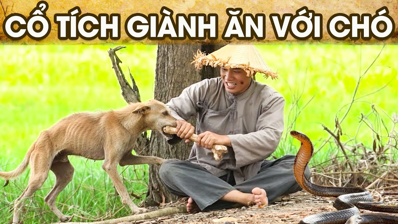 CỔ TÍCH GIÀNH ĂN VỚI CHÓ | CỔ TÍCH VIỆT NAM | PHIM TRUYỆN CỔ TÍCH HAY NHẤT 2026 | GHIỀN CỔ TÍCH