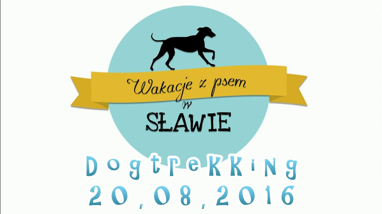 Dogtrekking w Sławie 20,08,2016
