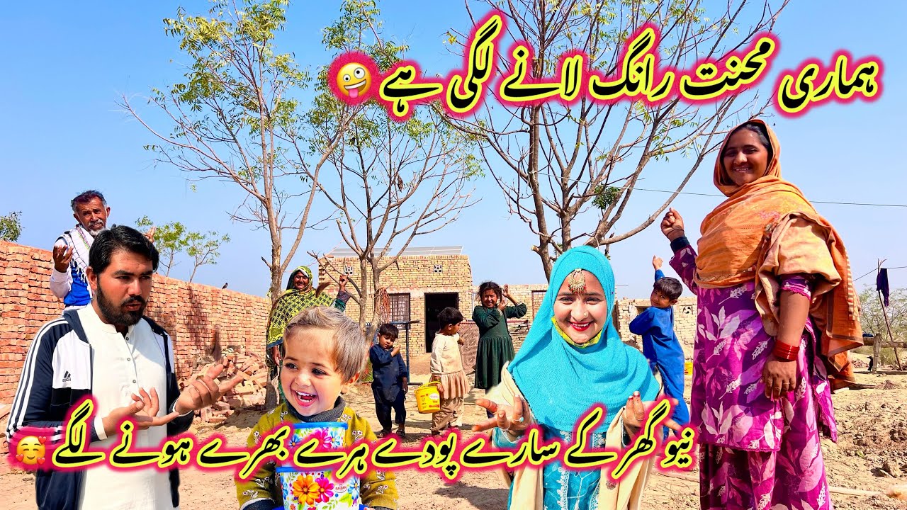 Hamari Mehnat Rang Lane Lagi Hai 🤪 | New Ghar Ke Pode Hare Bhhare Hone Lage 🥰 | Sidra Village Life