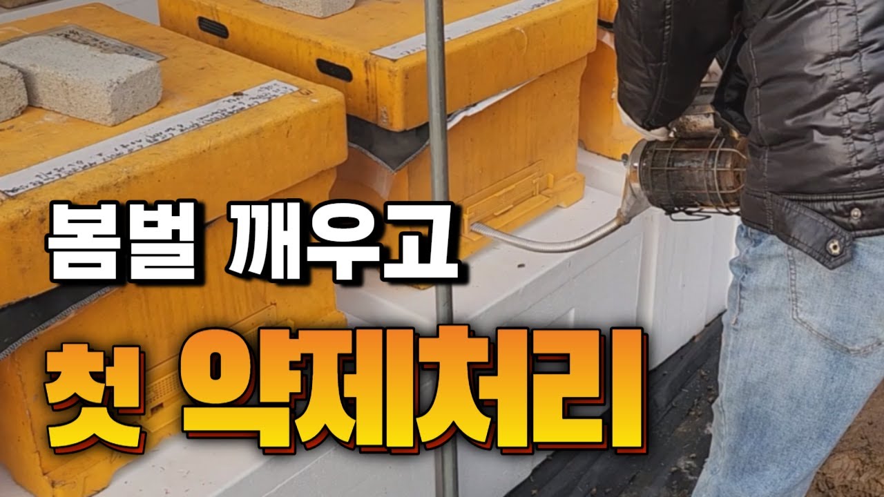 봄벌깨우기 이후 질병예방과 약제처리 하셔야죠?