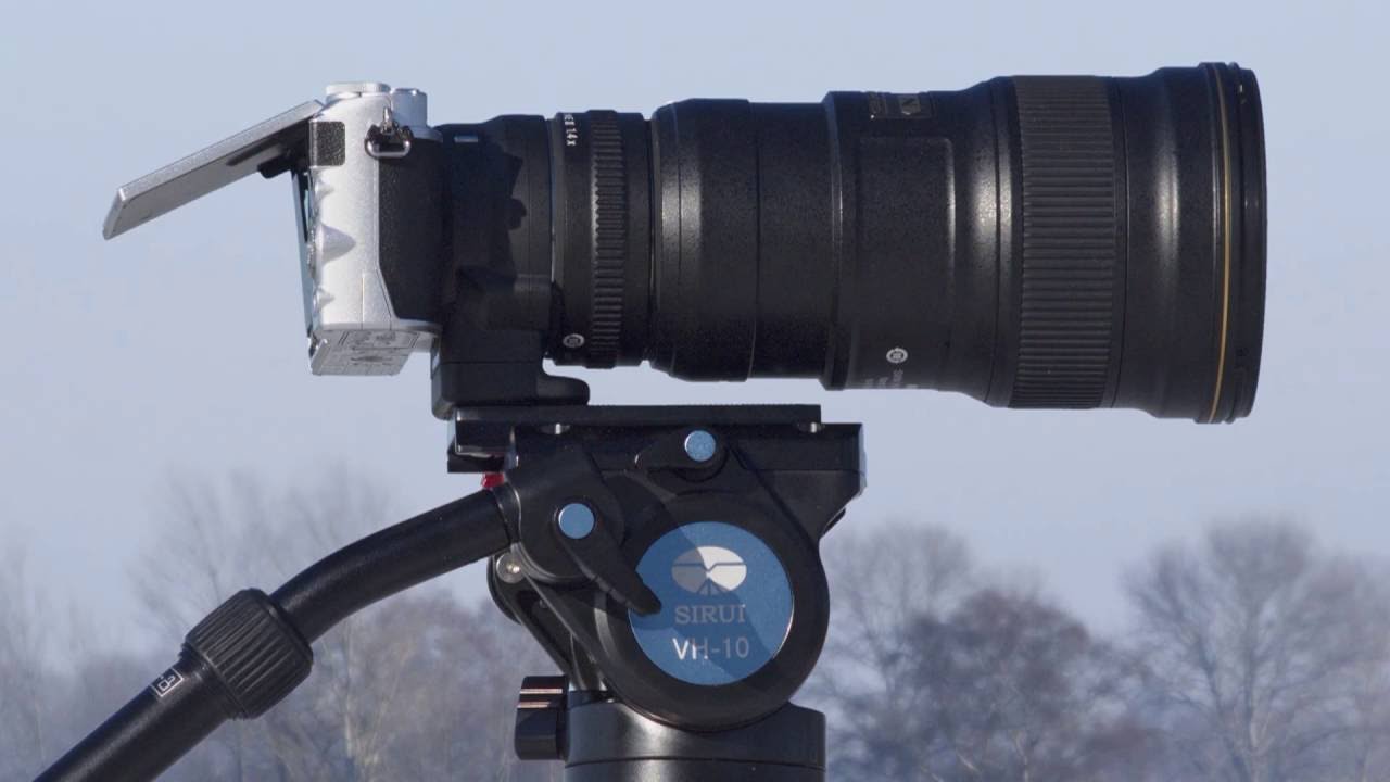 Nikon 1 J5 , Nikkor AF-S 300mm 1:4D Naturfotografie