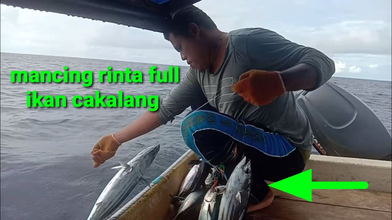 MANCING RINTA‼️ FULL STRIKE BERTUBI-TUBI❗IKAN CAKALANG