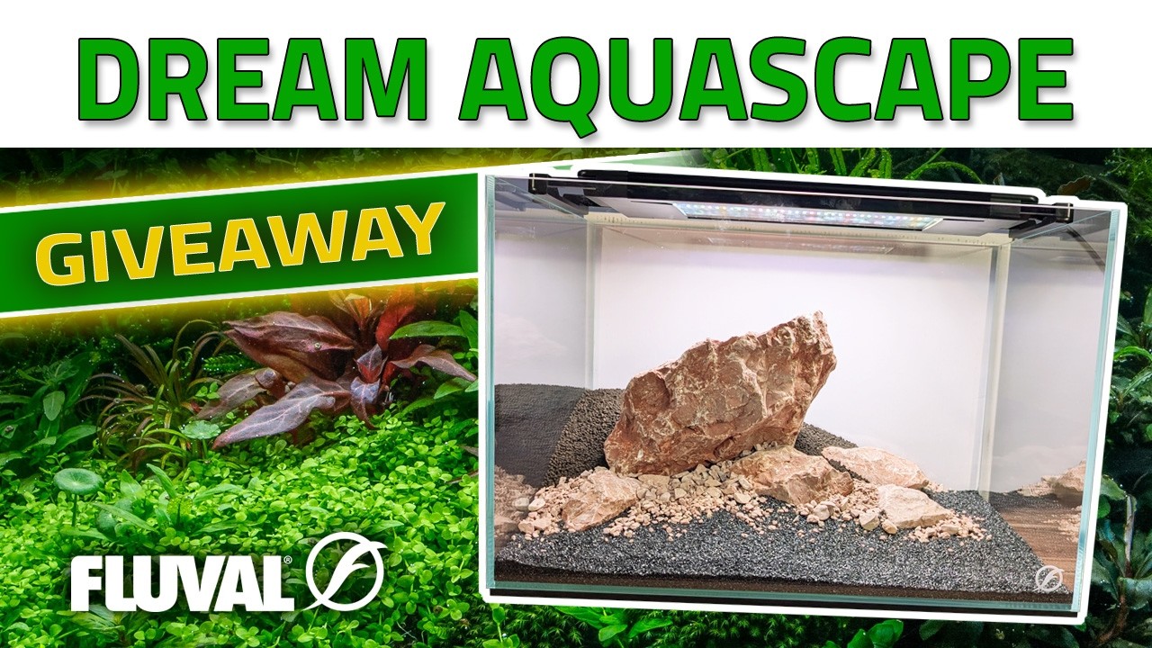 ВЫИГРАЙТЕ АКВАСЕЙП СВОЕЙ МЕЧТЫ 🌿 Розыгрыш аквариумного набора Fluval