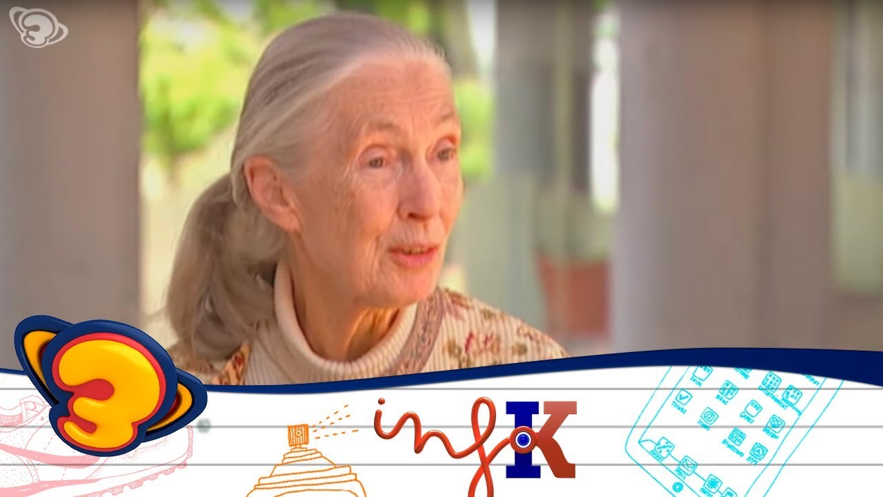 Jane Goodall - InfoK