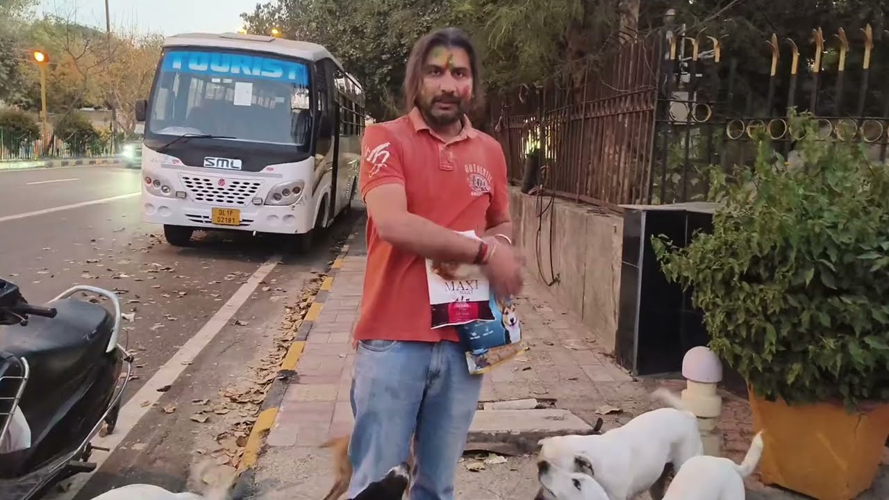 🐶🐱 Holi Par Stray Dogs & Cats Ko Khana Khilaya ❤️ | Real Humanity on Holi 