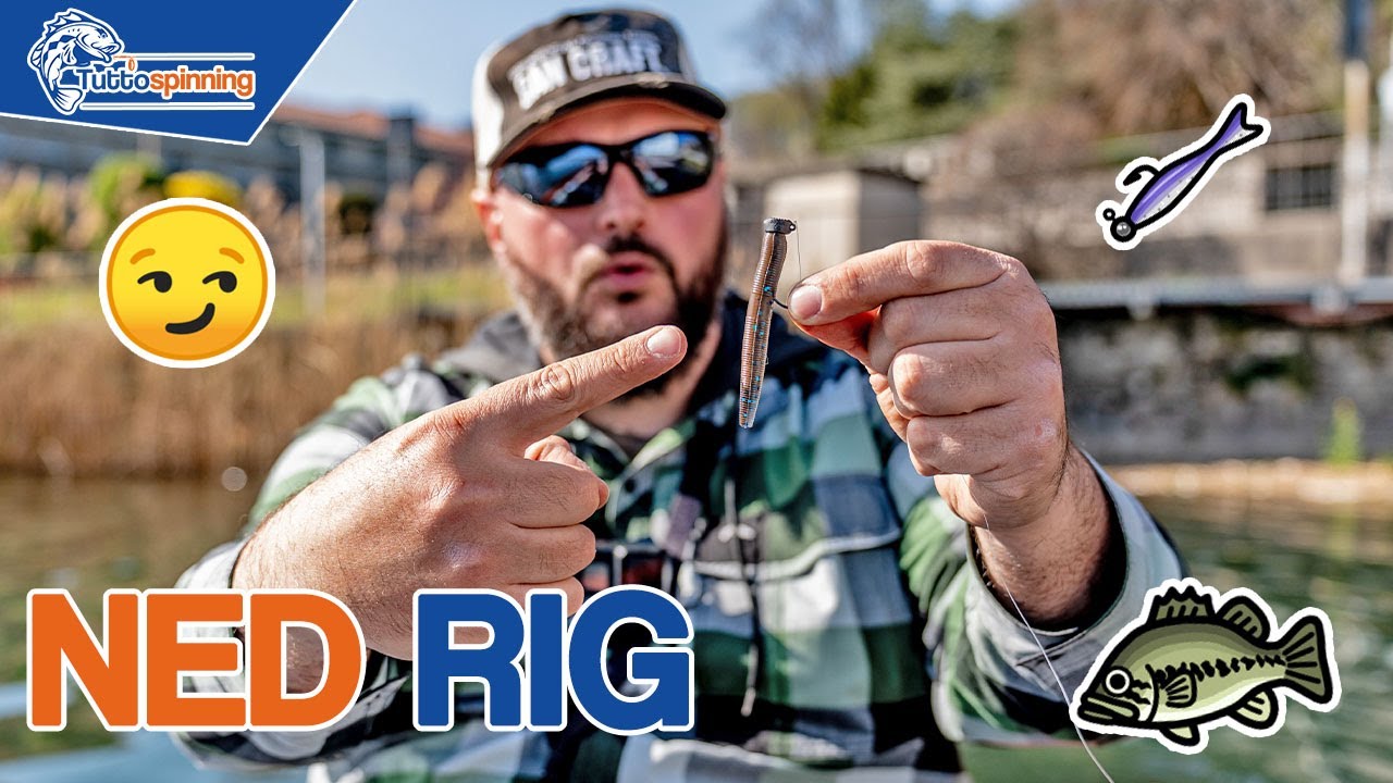 Tutti pazzi per il NED RIG 🎣 Innesco da BASS FISHING semplice e micidiale!