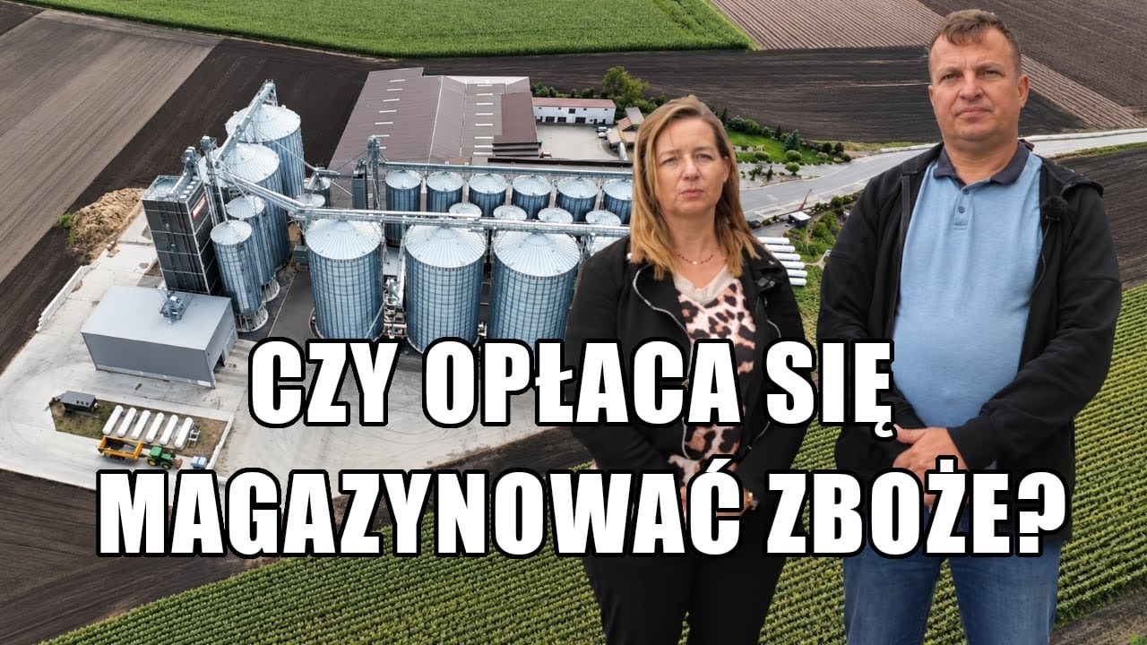 Mają 300 ha i magazyny w kt&oacute;rych pomieszczą ponad 30 tys. ton ziarna! Czy magazynowanie się opłaca?
