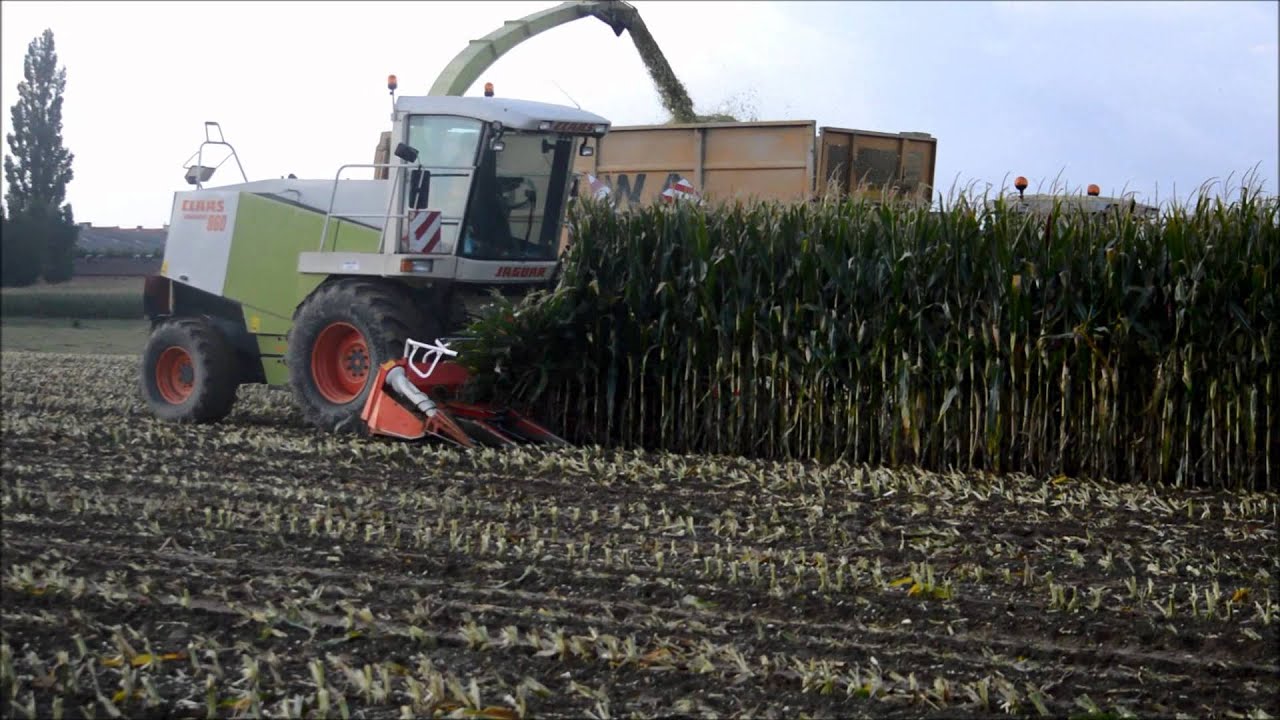Mais Hakselen met Claas Jaguar 860