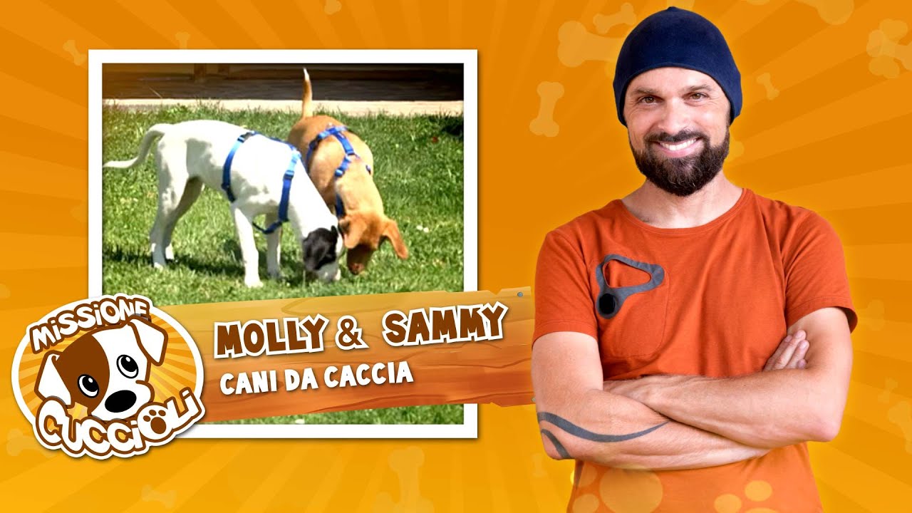 MISSIONE CUCCIOLI Stagione 2 con Simone Dalla Valle - Molly e Sammy, cani da caccia