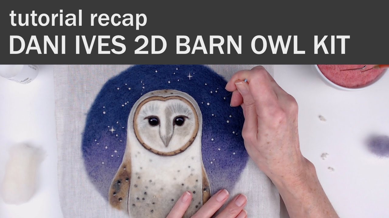 I Completed Dani Ives 2D Needle Felted Barn Owl Kit & Tutorial From Felted Sky | Intermediate Level