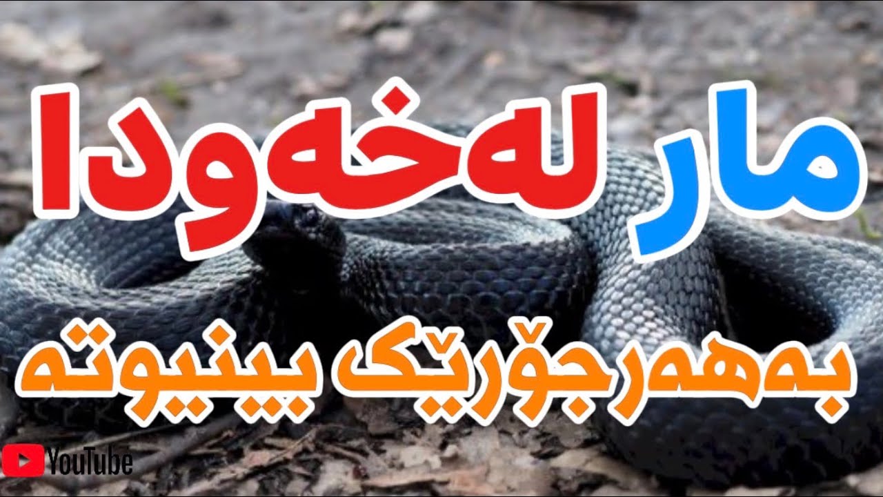 مار لەخەودا بەهەر شێوازێکی بینیوتە لێکدراوەتەوە