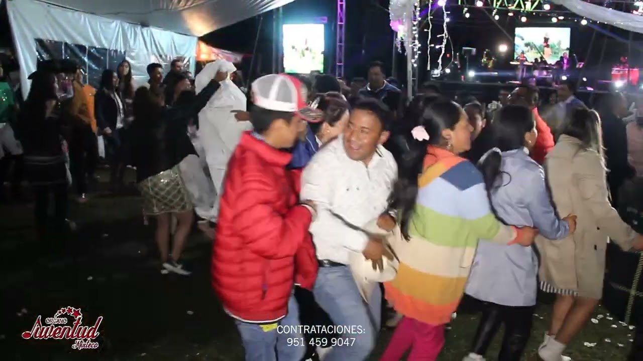 AMOR NO TE VAYAS ,LA VIVORA DE LA MAR ,LA ABEJA MIOPE│DESDE FRESNO NICHI, SAN FELIPE DEL PROGRESO,
