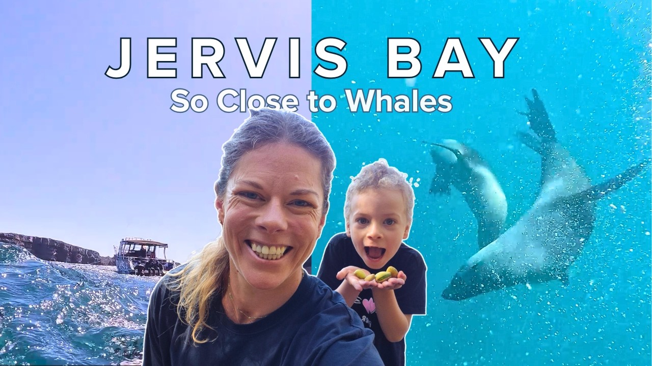 We Chased Humpback Whales… and Nature Had Other Plans | Jervis Bay, NSW