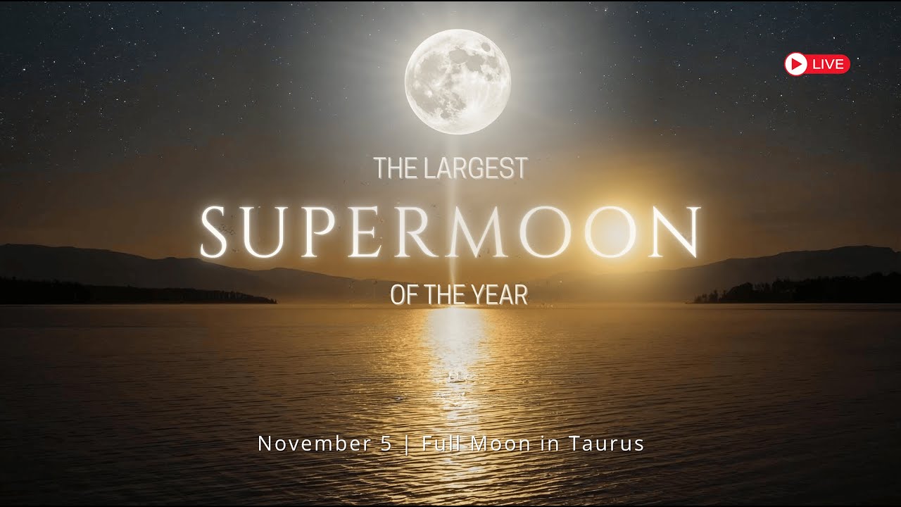 The Largest Supermoon of the Year | November 5, 2025 Full Moon in Taurus – Ground, Release, and Rise