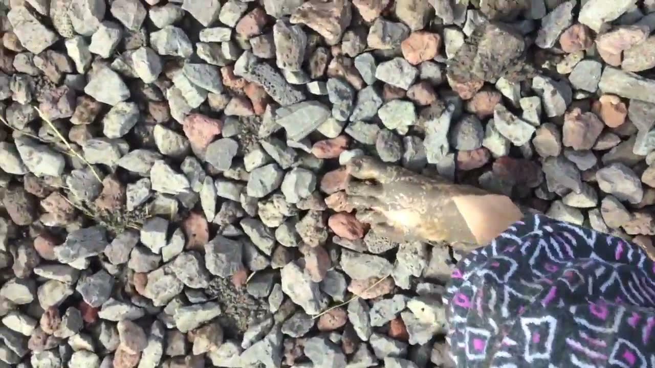 awesome muddy hike!! In Hawaii :)