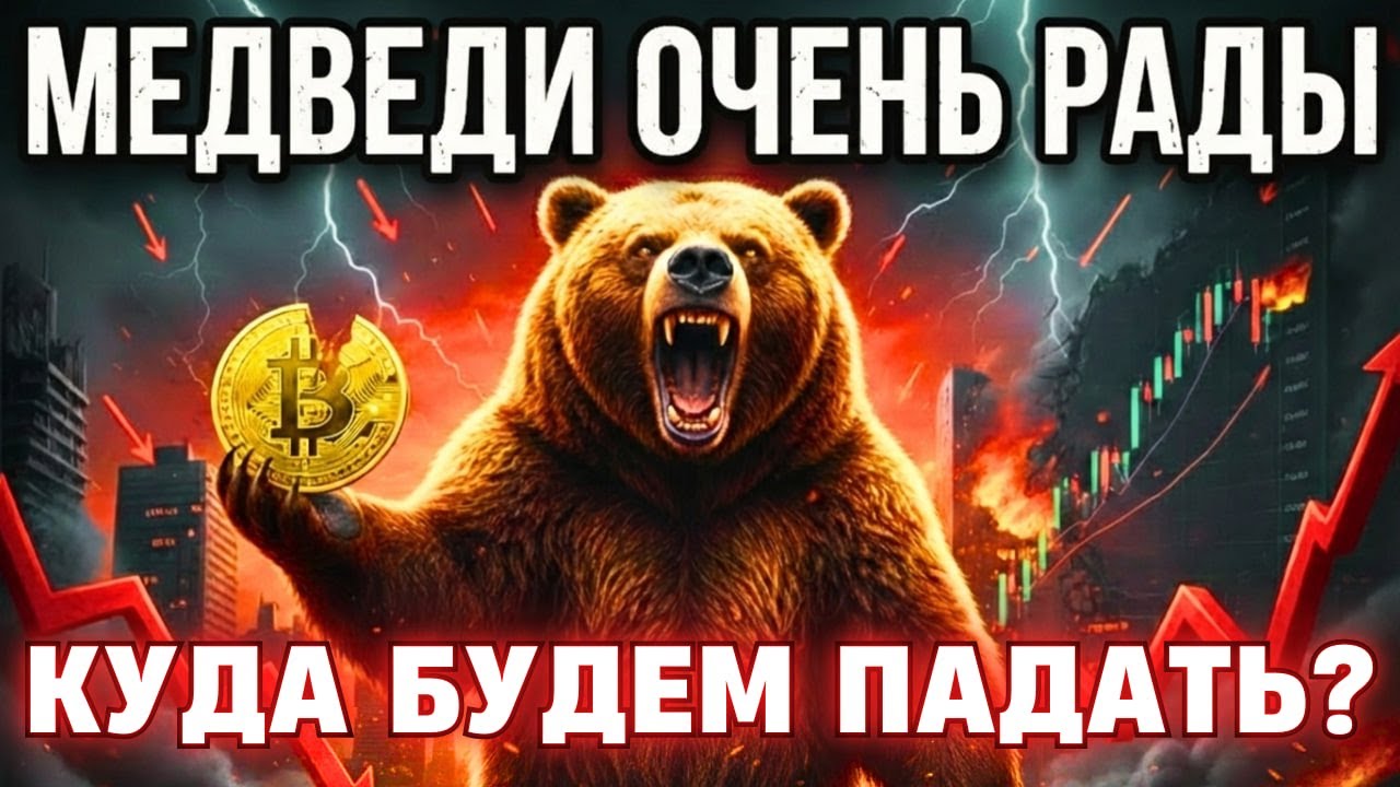 МЕДВЕДИ ОЧЕНЬ РАДЫ. КУДА БУДЕМ ПАДАТЬ?