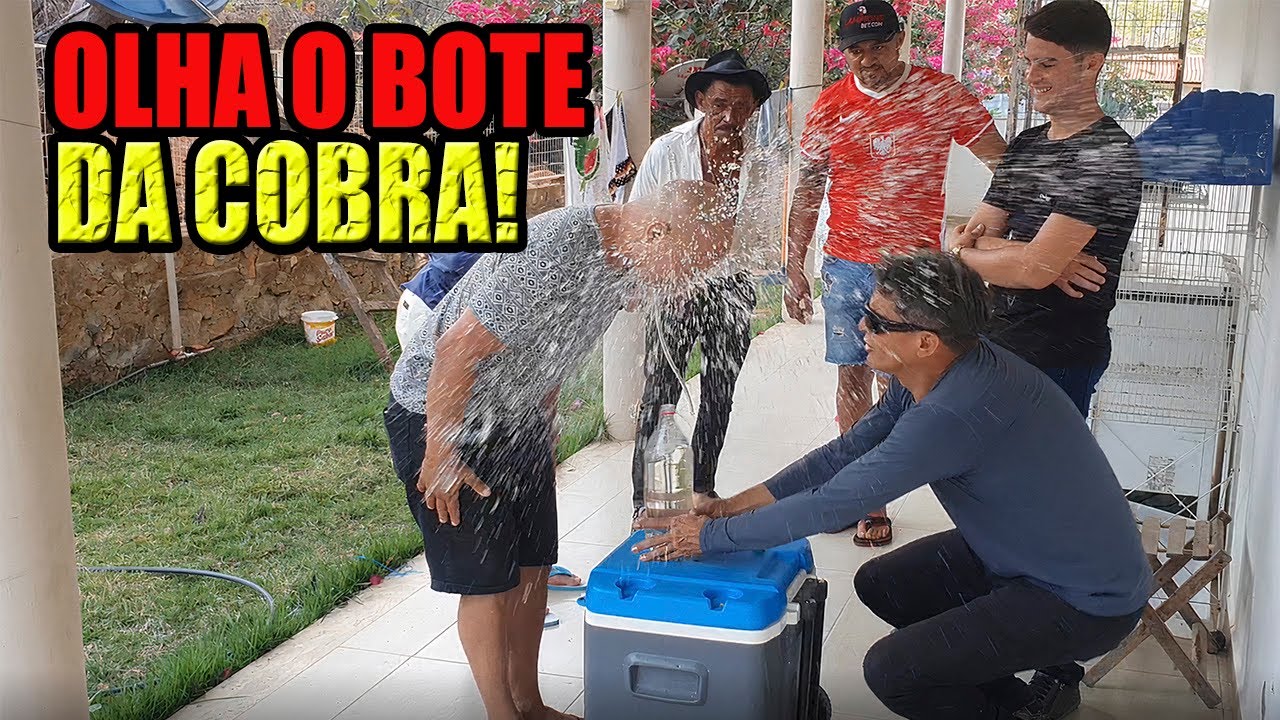 o bote da cobra velocidade topada kkkkkkkkkkkkkkkkkkkkk