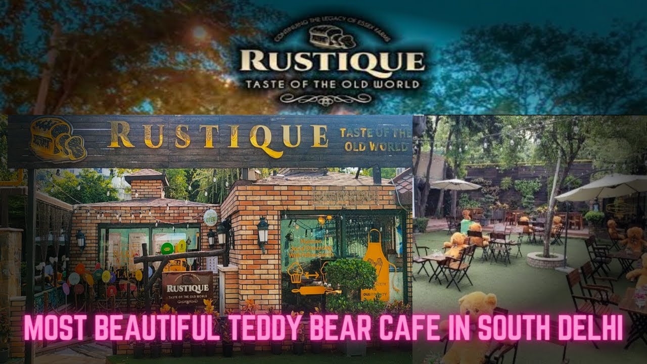 Rustique Cafe | Teddy Bear Cafe | Explore Best Cafe | Essex Farm | Yummy Food India | Delhi Cafe