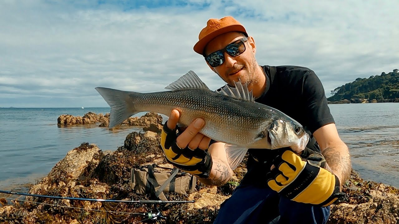 LURE FISHING FOR BASS | CATCHING BASS IN CRYSTAL CLEAR WATER