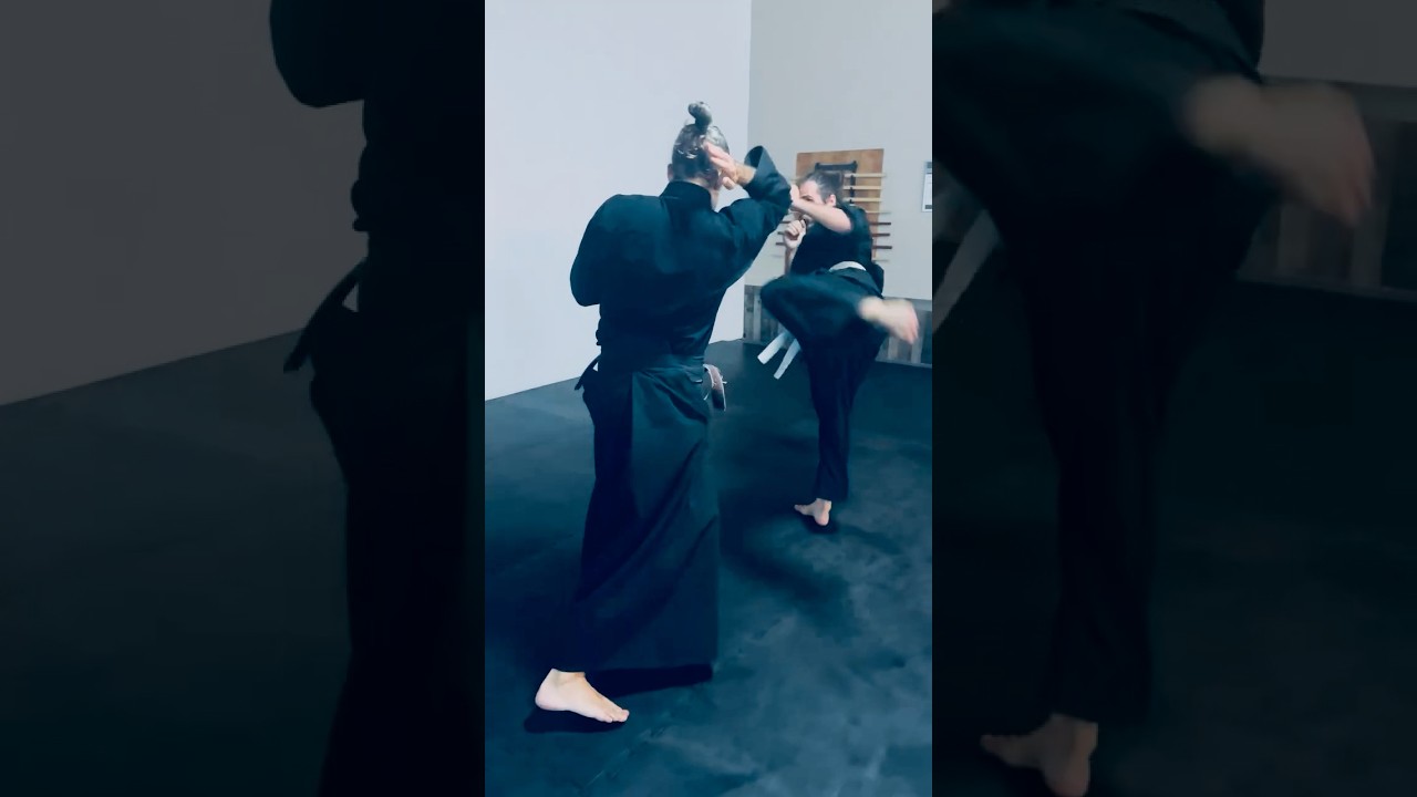 Aikido Martial Fusion Zenbu Dojo Sarasota