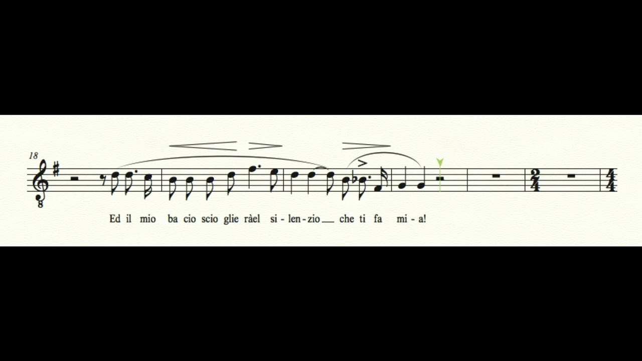 Nessun Dorma Karaoke (real orchestra + music sheet)