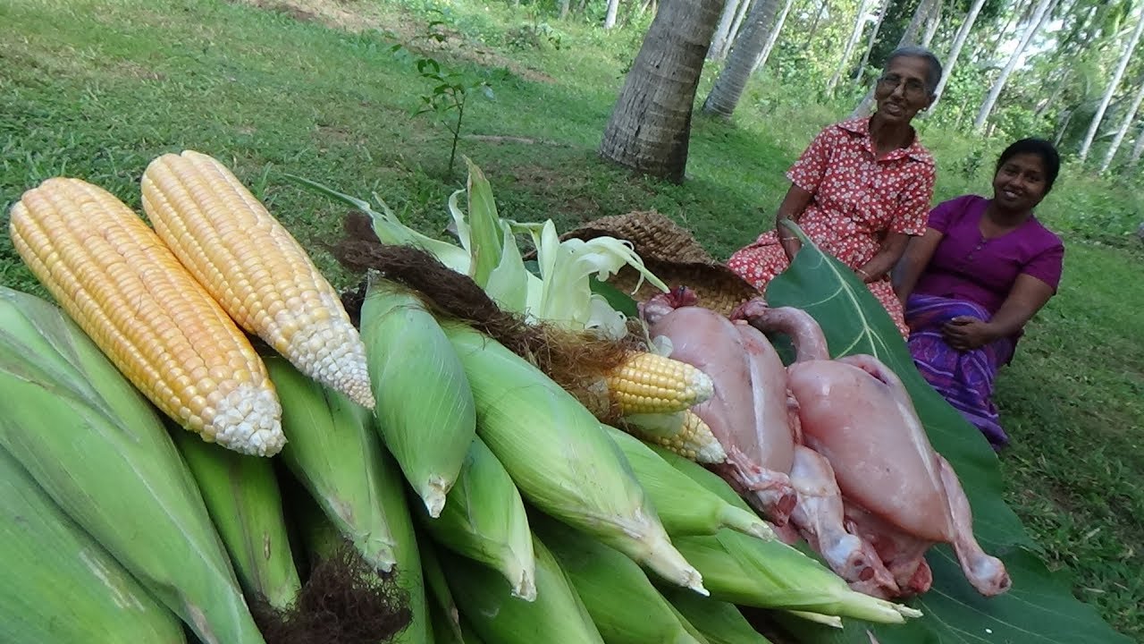 Fresh Corn Chicken Soup prepared in my Village by Grandma | Village Life