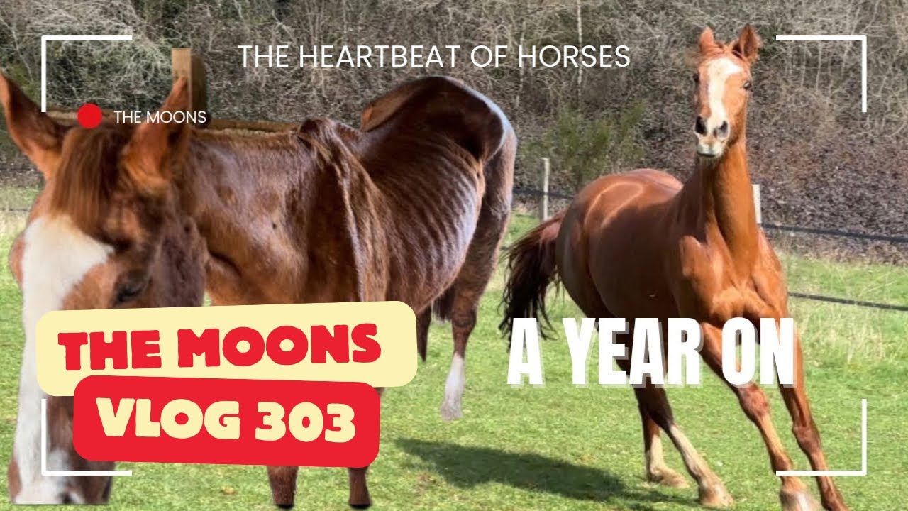 Grace one year on …