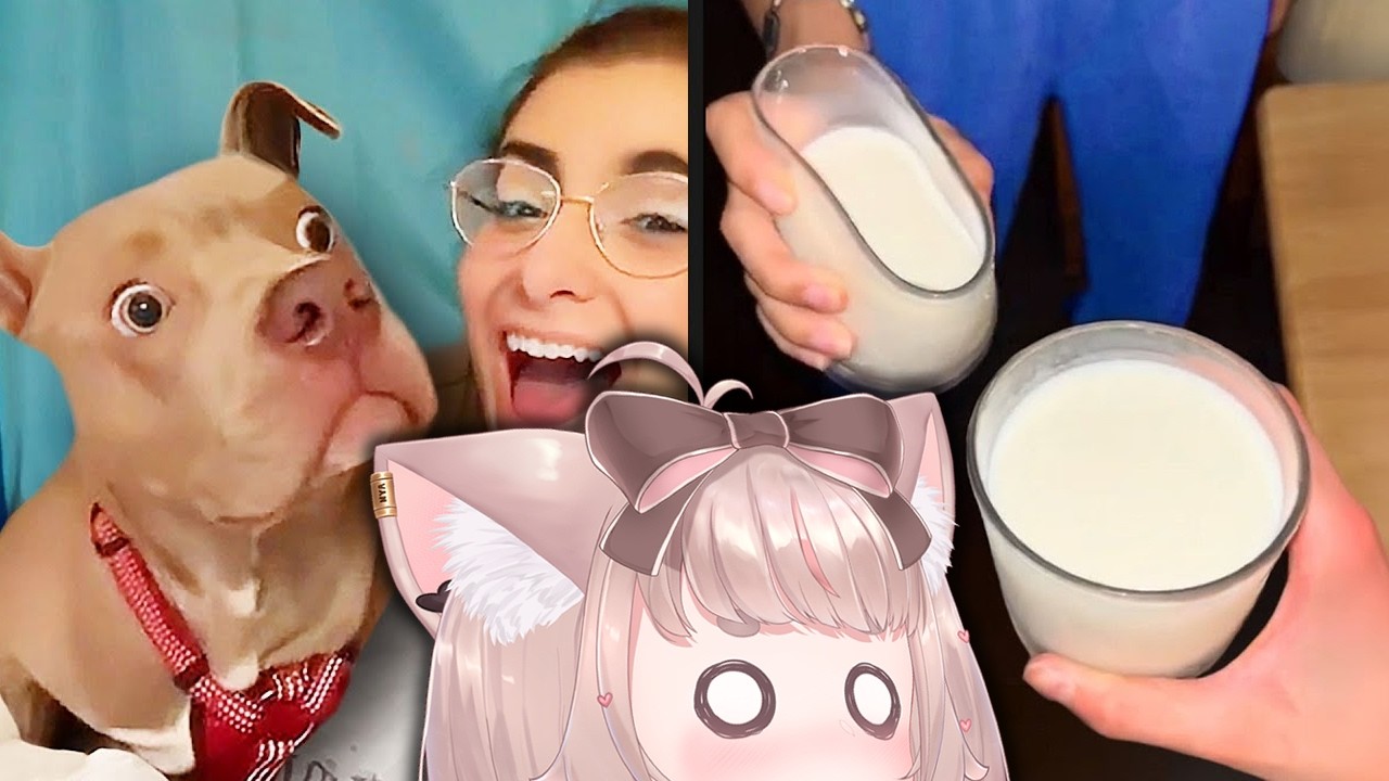 Brain breaking memes.. (Snow Fuwa!)| VTuber Fuwa Reacts to Daily Dose of Internet & UNUSUAL MEMES